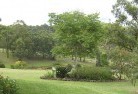 Milvaleresidential-landscaping-40.jpg; ?>